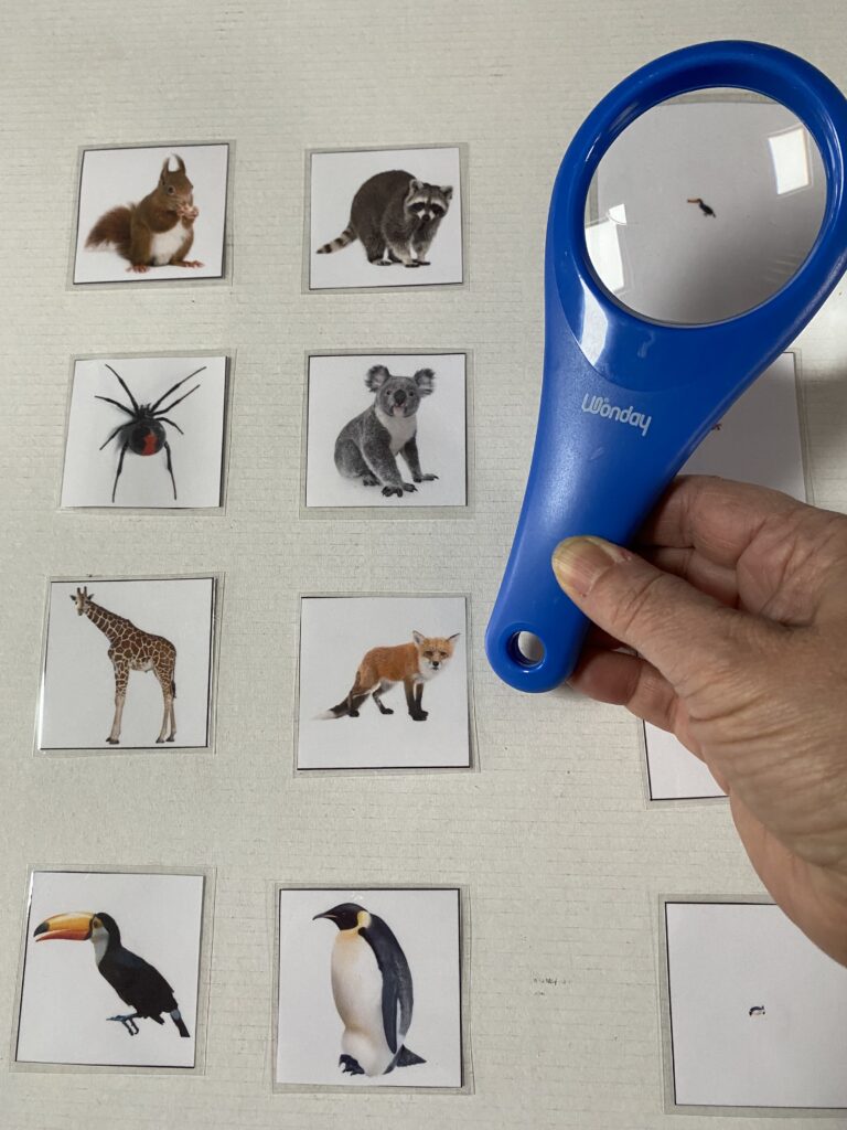 connaissance du monde animal reconnaitre les animaux