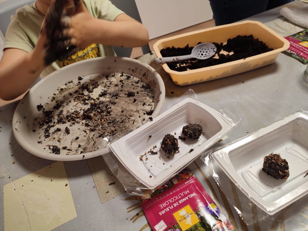 atelier bombe à graines