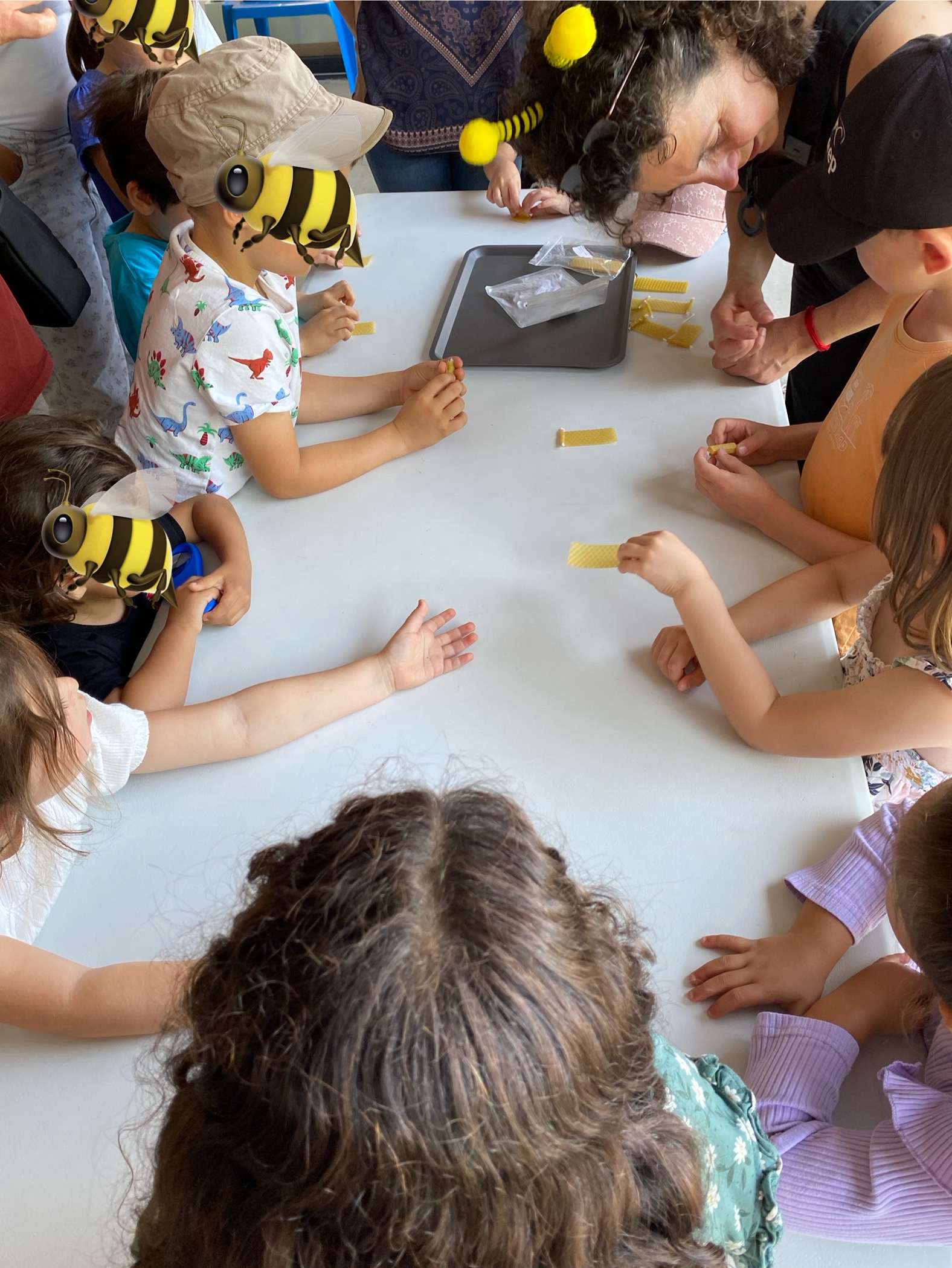Atelier découverte d'une ruche vitrée